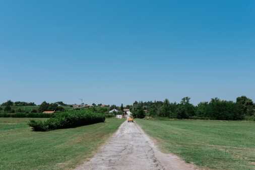 Contrasti (331)