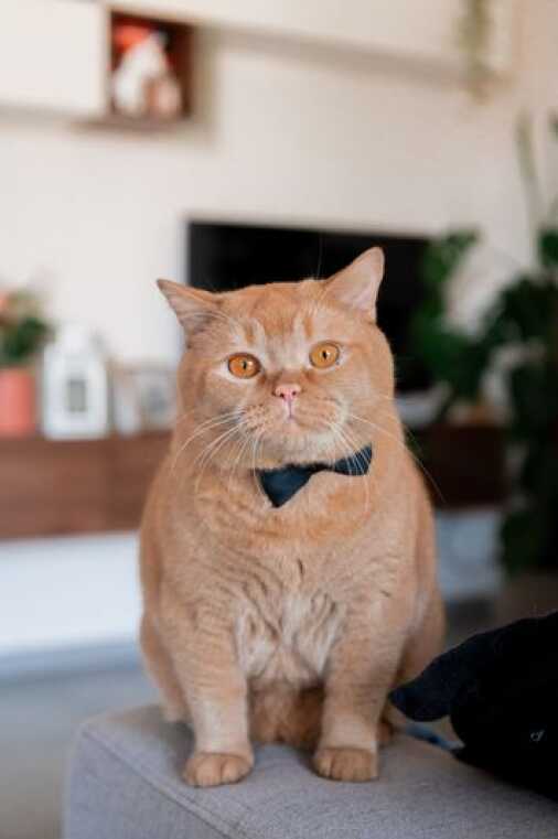 Contrasti Fotostudio