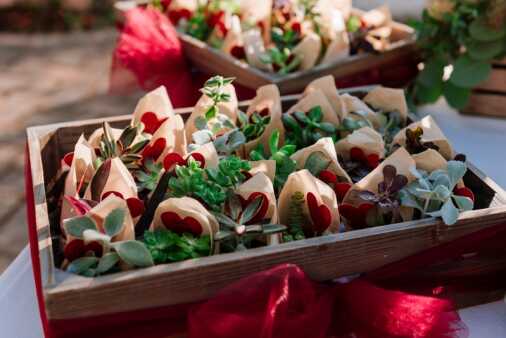 Contrasti Foto (358)