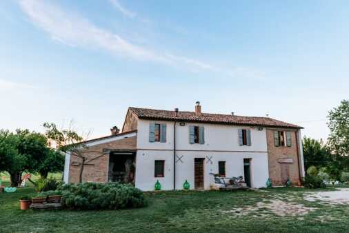 Contrasti (79)