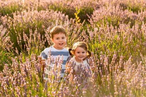 Contrasti 02072024 (11)