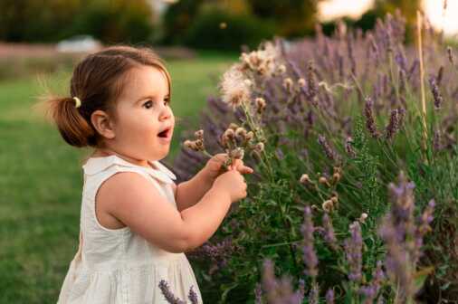 Contrasti 02072024 (111)