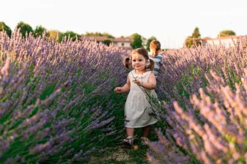 Contrasti 02072024 (58)