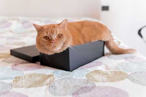 Contrasti Fotostudio