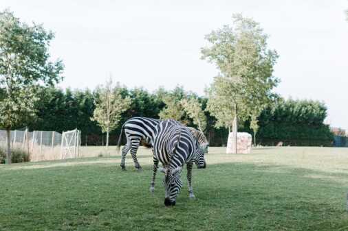 Contrasti Foto (303)