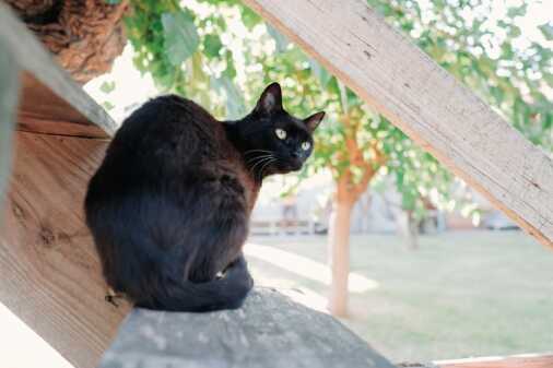 Ca' Freschi HD (11)b