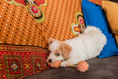 Giulia & Luca - 5 giugno 2021