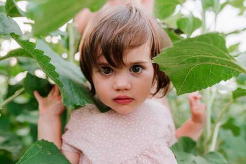 Giulia e Alessandro - Lavanda
