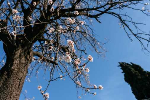 Contrasti (113)_risultato