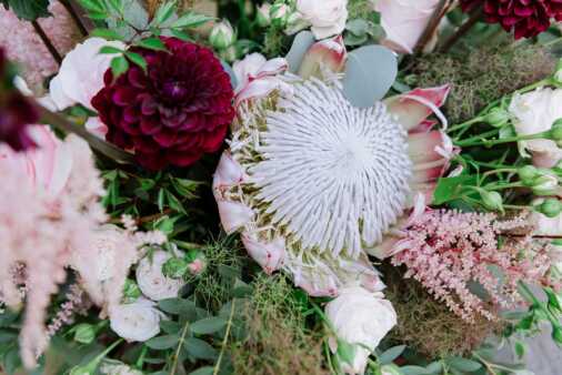 Contrasti Foto (134)