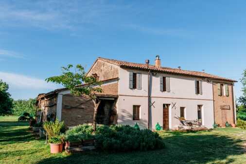 Contrasti (69)