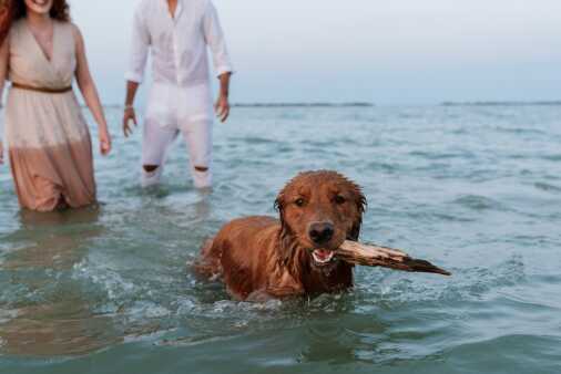 Save the Date - Marta e Giacomo