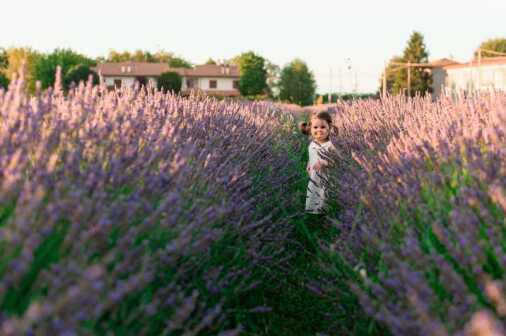 Contrasti 02072024 (56)