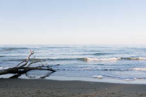 Contrasti Foto (105)