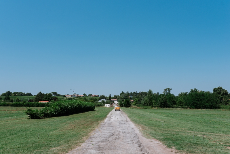 Contrasti (331)
